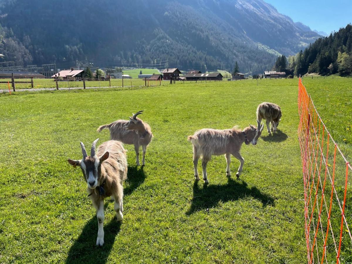 Schlafen Im Fass - Schlaffass - Abenteuer - Romantik - Haslifass Innertkirchen Esterno foto