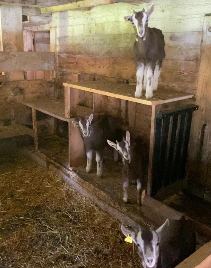 Schlafen Im Fass - Schlaffass - Abenteuer - Romantik - Haslifass Innertkirchen Esterno foto